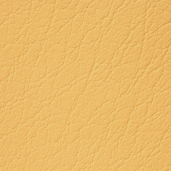 Mercure PU leather BUVETEX INT.