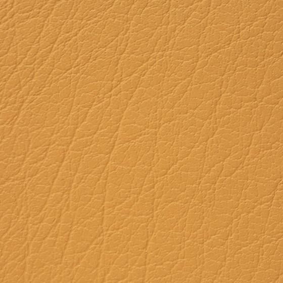 Mercure PU leather BUVETEX INT.
