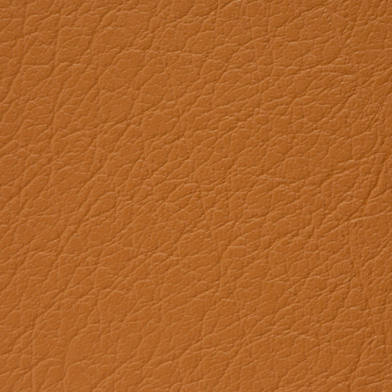 Mercure PU leather BUVETEX INT.