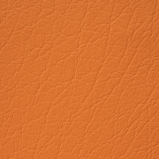 Mercure PU leather BUVETEX INT.