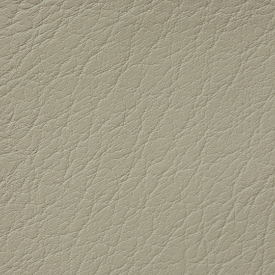Mercure PU leather BUVETEX INT.