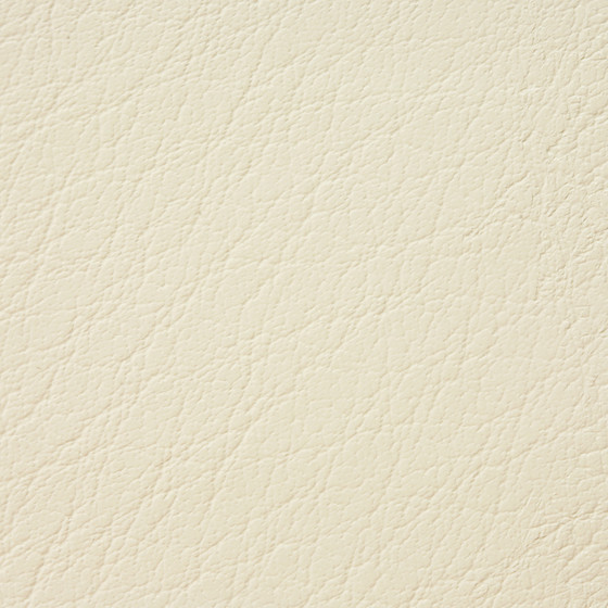 Mercure PU leather BUVETEX INT.