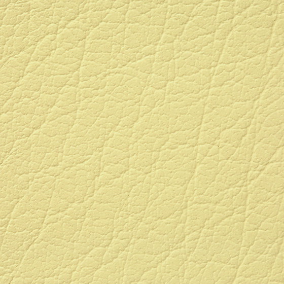 Mercure PU leather BUVETEX INT.