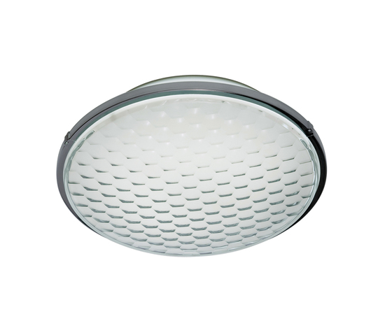 Icselle W1 Rotaliana