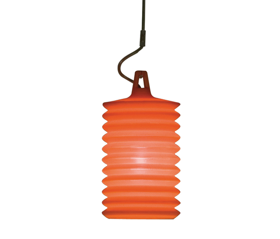 Lampion Rotaliana