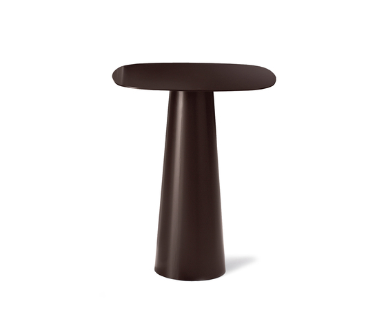 Totem Sovet
