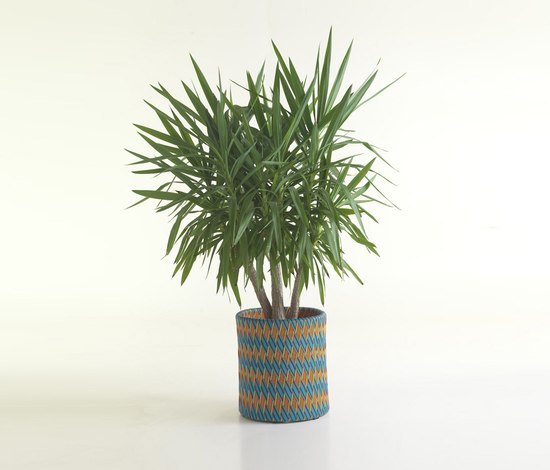 Kente Varaschin