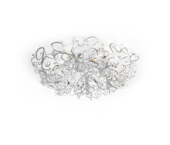 Icy Lady series Brand van Egmond