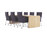 Wang | Montis