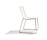 Lineal | Andreu World