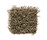 Moss | Kasthall