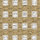 City | Woodnotes