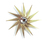 Wall Clocks | Vitra