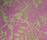 Sleeping Rose Vorhangstoff | Kvadrat