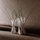 Bunch | B&B Italia