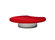 Waterlily | Globe Zero 4