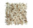 Poodle 1400 | OBJECT CARPET