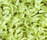 Poodle 1400 | OBJECT CARPET