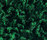 Poodle 1400 | OBJECT CARPET