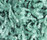 Poodle 1400 | OBJECT CARPET