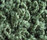 Poodle 1400 | OBJECT CARPET