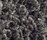 Poodle 1400 | OBJECT CARPET