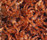 Poodle 1400 | OBJECT CARPET