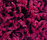 Poodle 1400 | OBJECT CARPET