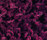 Poodle 1400 | OBJECT CARPET