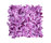Poodle 1400 | OBJECT CARPET