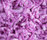 Poodle 1400 | OBJECT CARPET