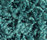 Poodle 1400 | OBJECT CARPET
