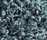 Poodle 1400 | OBJECT CARPET