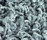 Poodle 1400 | OBJECT CARPET