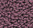 Accor 1000 | OBJECT CARPET