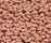 Accor 1000 | OBJECT CARPET