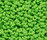 Accor 1000 | OBJECT CARPET