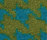 Xanis 1000 | OBJECT CARPET