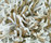 Flash 1400 | OBJECT CARPET