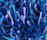 Flash 1400 | OBJECT CARPET