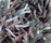 Flash 1400 | OBJECT CARPET