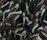 Flash 1400 | OBJECT CARPET