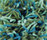 Flash 1400 | OBJECT CARPET