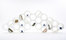 Cloud | C5/1 | Cappellini