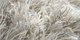 Sauvage | Carpet Sign