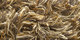 Sauvage | Carpet Sign