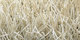 Atlantique | Carpet Sign