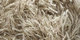 Sauvage | Carpet Sign