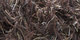 Sauvage | Carpet Sign