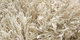 Sauvage | Carpet Sign